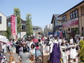 0203-00-00.jpg