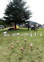 2147483647-00-00-4e12959373c65.jpg