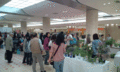 2147483647-00-00-4f863ecde81f8.gif